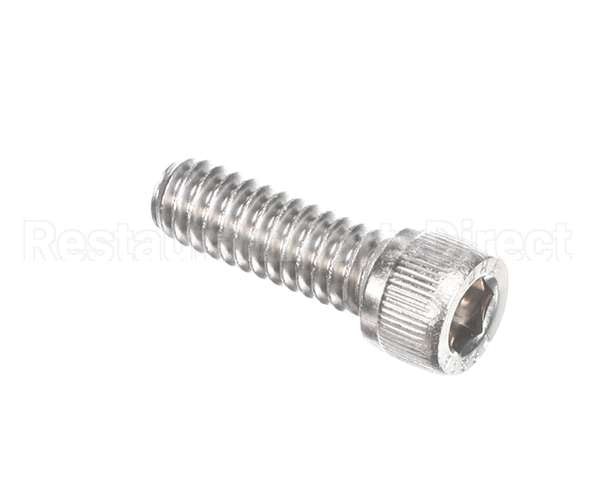 810229 Globe Shc Screw 1/4-20 X 3/4 Ss
