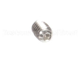 810382 Globe Set Screw, Stn. Stl. Slotted