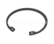 810427 Globe Retaining Ring, N5002-200