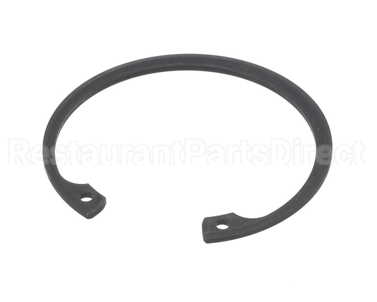 810427 Globe Retaining Ring, N5002-200