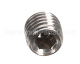 8158718 Apw Wyott Set Screw 5/16-24 X 5/16 Cup P
