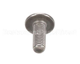 8175900 Apw Wyott Obs Screw;Mach. Truss Hd. Ph. 10-32 X 1/