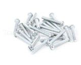 8261359 Frymaster Screw, (8090354) Qty. 25