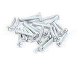 8261359 Frymaster Screw, (8090354) Qty. 25