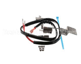 8262598 Frymaster Kit, Re Tilt Switch Service