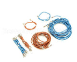 82927 Apw Wyott Wire Set Assembly Bt-15 Dual Spd/