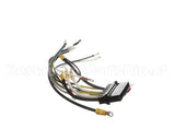 83301 Perfect Fry Harness,E-Box Lower
