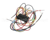 83313 Blodgett Harness, Fem Con, 3P