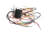 83313 Blodgett Harness, Fem Con, 3P