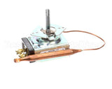 84017 Server Thermostat 79C