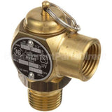 841496-1 Vulcan Safety Valve 1/2"M X 1/2"F