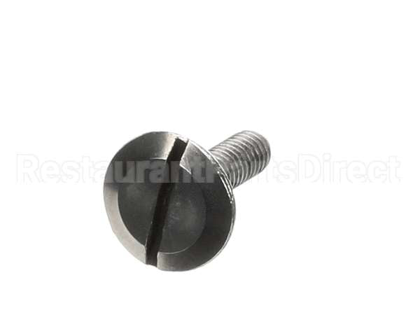 8593 Hardt Screw Slotted Extra Wide S/S 1/4-20 X 1