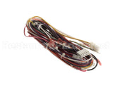 86037 Grindmaster Cecilware Harness, 115/250 A&Ab Digital