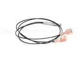 86275 Server Thermistor Assembly, Intelliserv