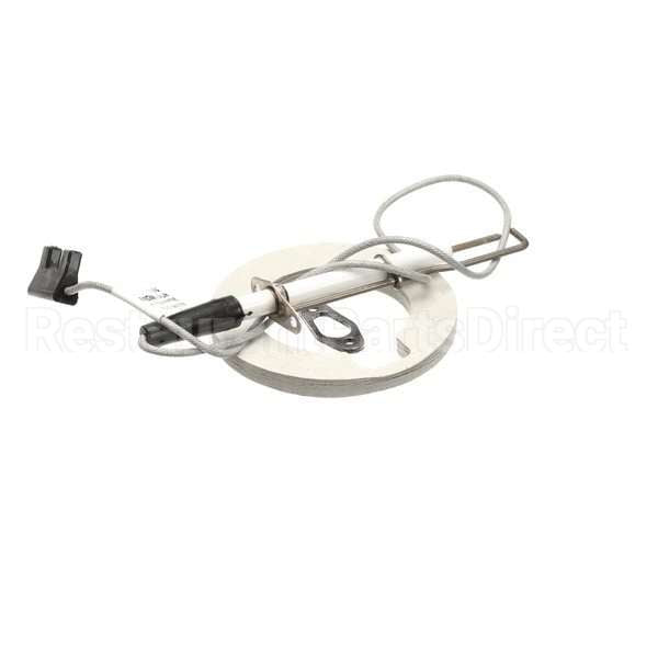 87.00.663 Compatible Rational Ignition Electrode Kit