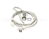 87.01.218 Rational Filling Level Electrode 90 Mm With Wire