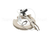 87.01.347 Rational Ignition Electrode Kit For Steam Generat