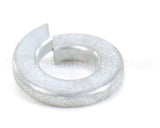 870020 Globe Lockwasher