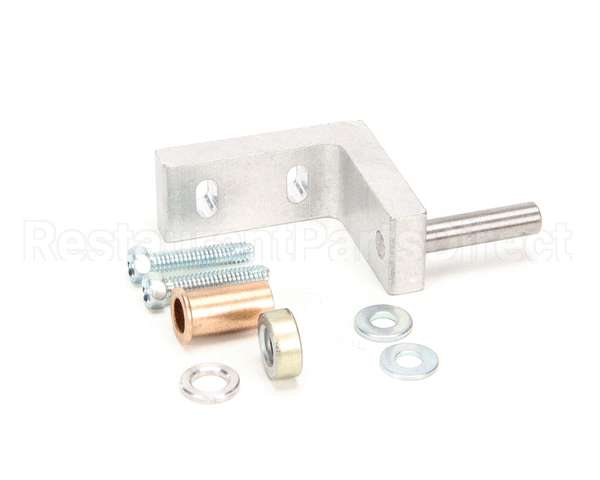 870866 TRUE Hinge Kit Door Btm T/Gdm -F For Tors. Sp