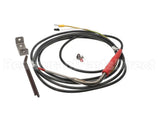 880213 Electrolux Professional 1 Single-Sensor Probe-Bl.c/Freezers Lw