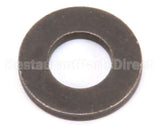 881-4 Globe Washer