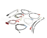 88109 Henny Penny Harn-120/230/50/60/1/Bw100