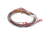 88292 Henny Penny Harness-Control Module Power