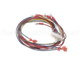 88292 Henny Penny Harness-Control Module Power