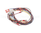 88292 Henny Penny Harness-Control Module Power