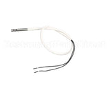 88613 Fisher Scientific Temp Probe