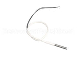 88613 Fisher Scientific Temp Probe