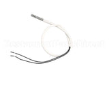 88613 Fisher Scientific Temp Probe
