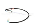 890534851 Cornelius Probe Carb Tank