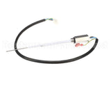890534851 Cornelius Probe Carb Tank