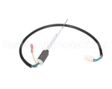 890534851 Cornelius Probe Carb Tank