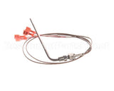 89909 Henny Penny Assembly-Hi Limit Probe