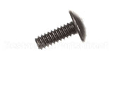 9031237-01 Ice O Matic Screw Phil Truss