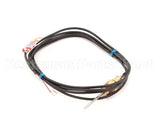 91191 Thermodyne Thermocouple (Always Send 9031