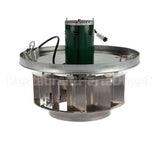 916408 Accurex Cue-161 Powerpack