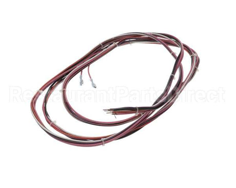 916539 TRUE Wire Harness, T-35/49G 115V