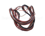 917355 TRUE Wire Harness, Gdm-23F/26F 115V