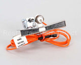 93-0010 Market Forge Pilot Lp Ts-1098