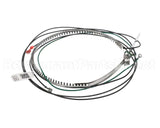 93M16 Lennox Belt 480V 70W 50" Leads Htr