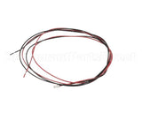 949039 TRUE Led Input Wire Assembly 36