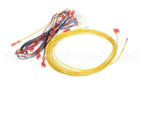 94917-002 Henny Penny Harn-Hl Gv Mv Pv Th Vs-2S