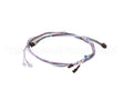 95-1948S Prince Castle Harness For Motor & Probe
