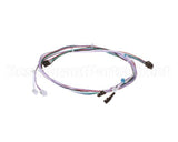 95-1948S Prince Castle Harness For Motor & Probe