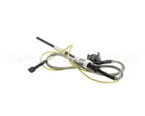 9501-006-001 Dexter Temp. Sensor