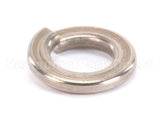 962-13 Globe Lock Washer