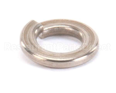 962-13 Globe Lock Washer